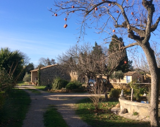 La vue depuis l'entrée du mas bleu